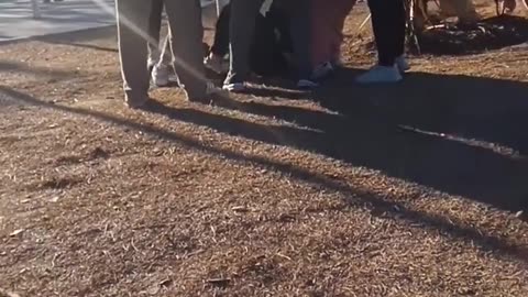 🔴 Pelea entre mujeres en la calle | Testigo critica a quien solo grabó 📹
