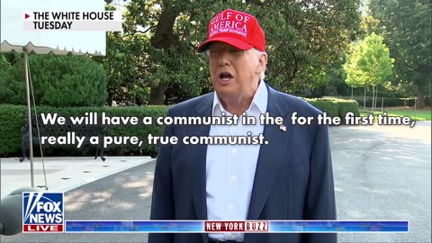 Trump slams Zohran Mamdani as verbal feud escalates: 'True communist'
