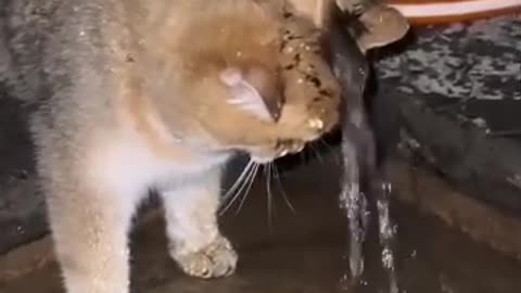 Running water