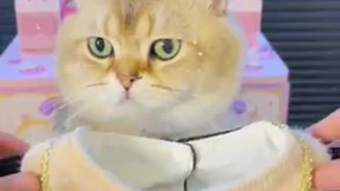 Adorable !😻😻😻