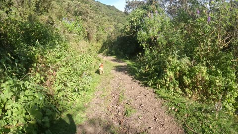 Running down from Nevado Ampay through the Sanctuary