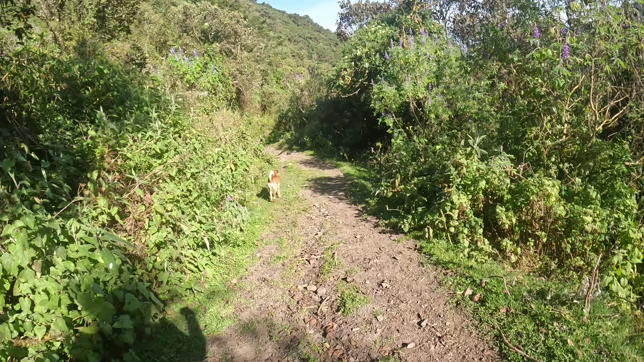 Running down from Nevado Ampay through the Sanctuary