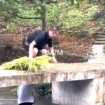 Funny Moments #funny #moments