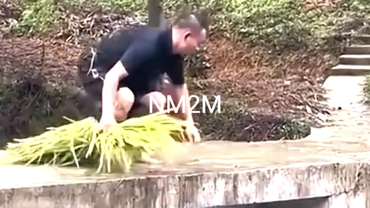 Funny Moments #funny #moments