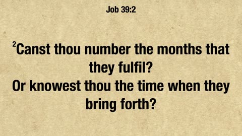Job 39