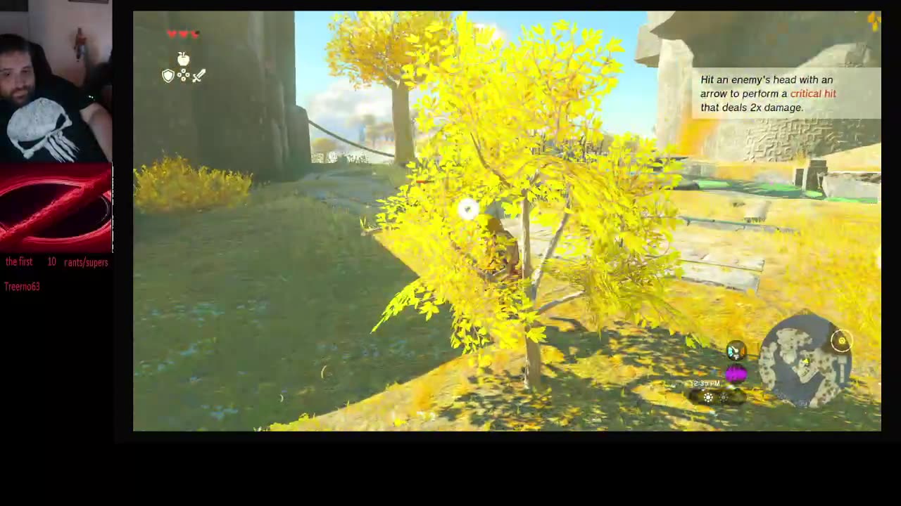 Tears of the kingdom ns 2