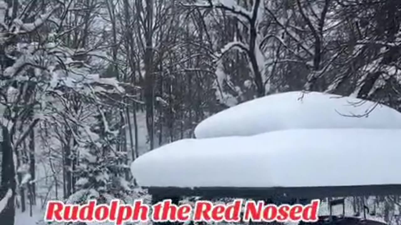 The Indian Rudolph The Red-Nosed Reindeer