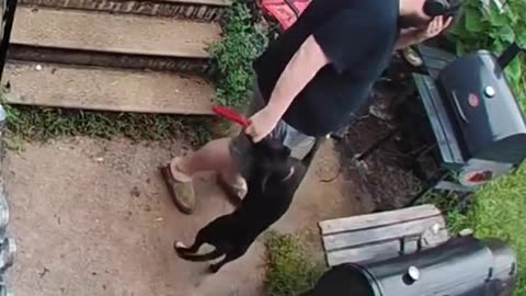 😂😨 I Punched Myself in the Face Playing with My Dog! | FunFM