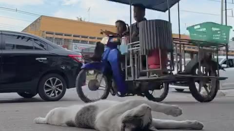 🤣😂 Bro Trust the Whole World! | FunFM