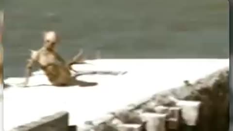 9 Mysterious Captured on Camera Can't Explain