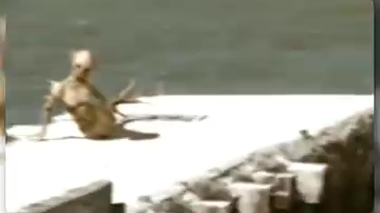 9 Mysterious Captured on Camera Can't Explain