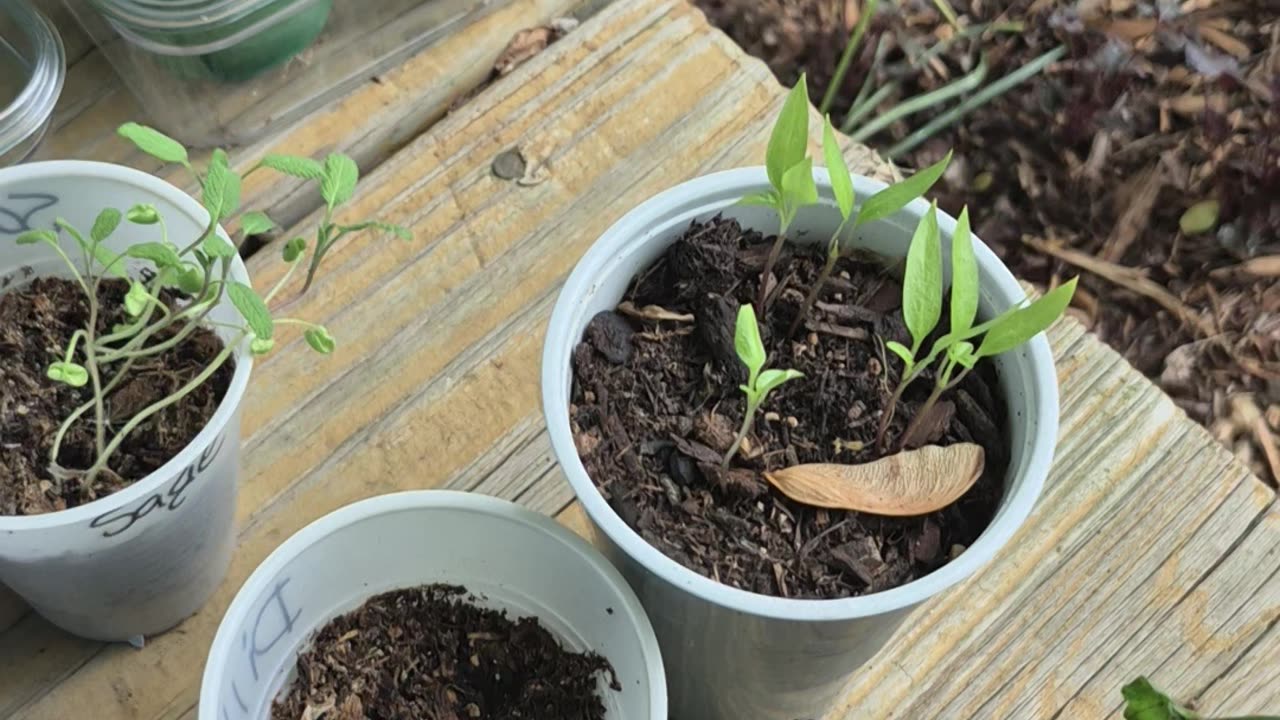 It's Finally Time!
