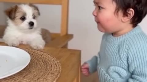 Kids Playing with Dogs and Cats | Cute Baby & Pet Friendship Moments 🐶🐱