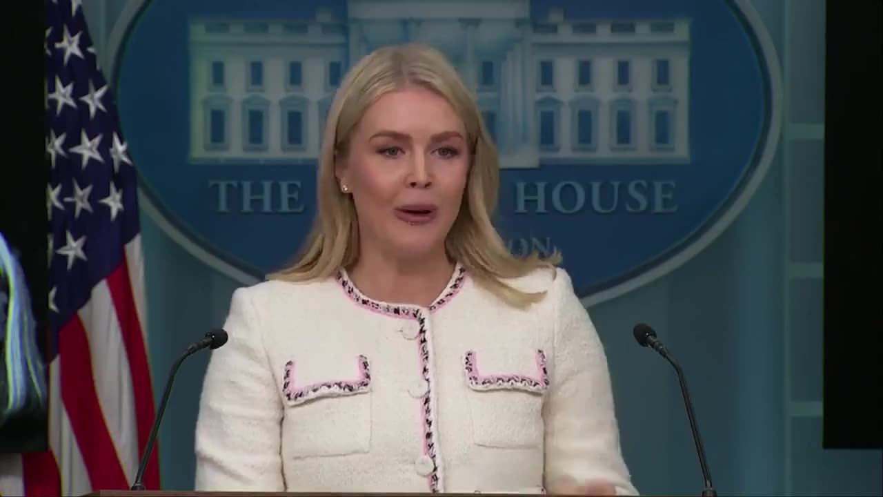 Karoline Leavitt ⚡ The Dems clearly don't care about the people's suffering