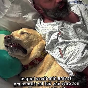 🐶💔 How Emotional This Dog – Heart-Touching Moment!
