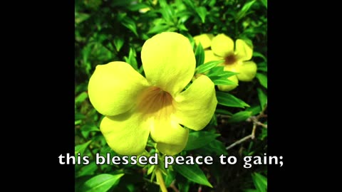 #16: “Happy The Home When God Is There” (with lyrics) | MODERN MELODIES to METHODIST HYMNAL LYRICS