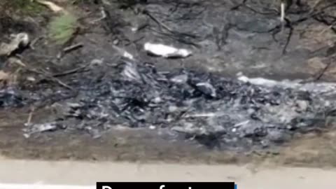 Drone footage shows burnt crash site where Diogo Jota died