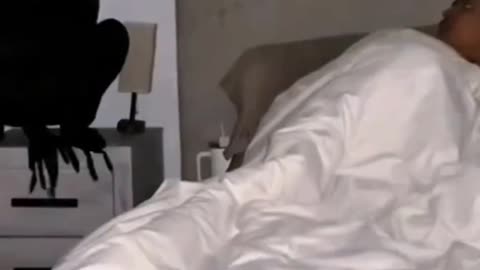 Wake Up My Husband As A Giant Crow