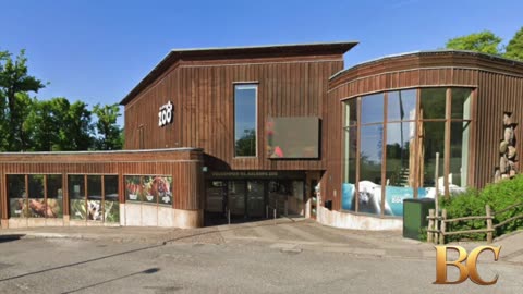 Denmark zoo asks people to donate their small pets as food for captive predators