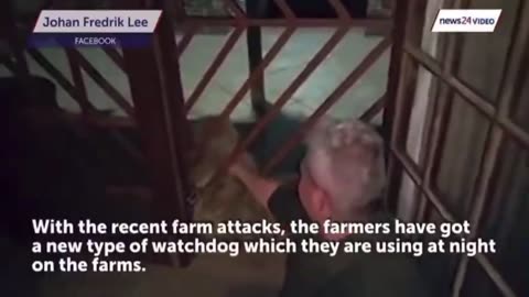 Daddy Goat 24/7 - Out Of Context Memes & Videos