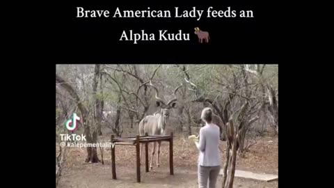 Daddy Goat 24/7 - Out Of Context Memes & Videos