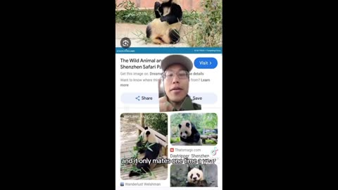Daddy Goat 24/7 - Out Of Context Memes & Videos