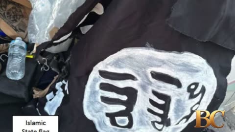 Bondi gunmen threw homemade bombs before shooting and conducted training