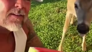 Man rescued a deer