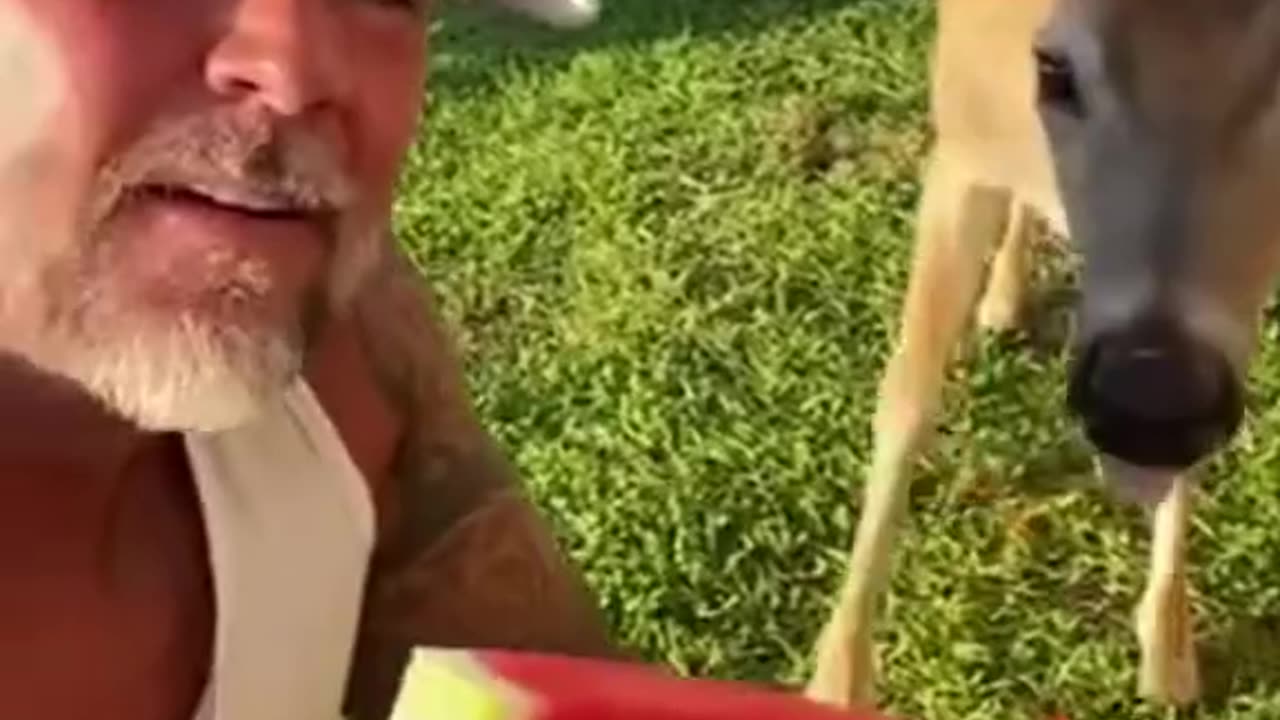 Man rescued a deer