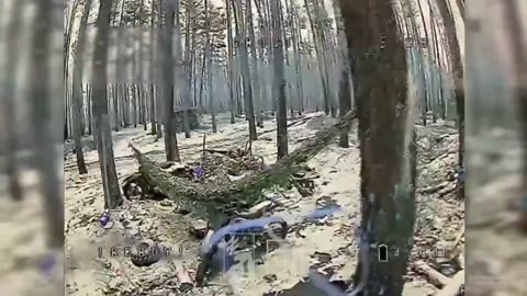 The Kara-Dag Brigade, one of the best in the National Guard, found a lot of camouflaged shelters