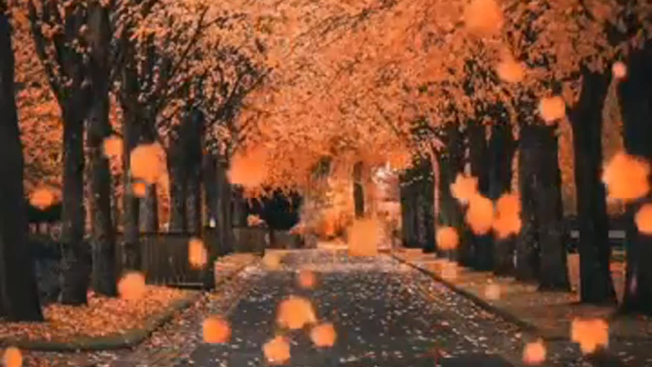 Journey Through Nature's Seasons: From Green Hills to Snowy Trees