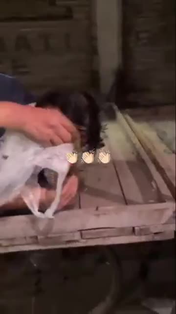 in front of the same restaurant, so the owner found him and...