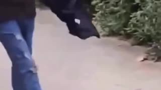 PARENTS: What would you do if an illegal immigrant smacked your kid?