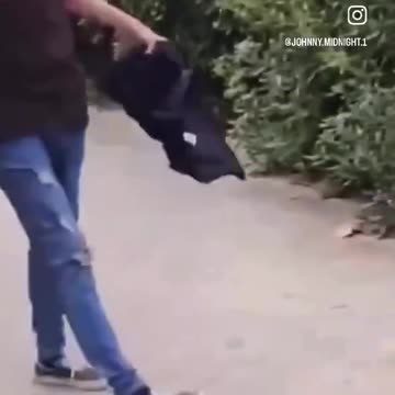 PARENTS: What would you do if an illegal immigrant smacked your kid?