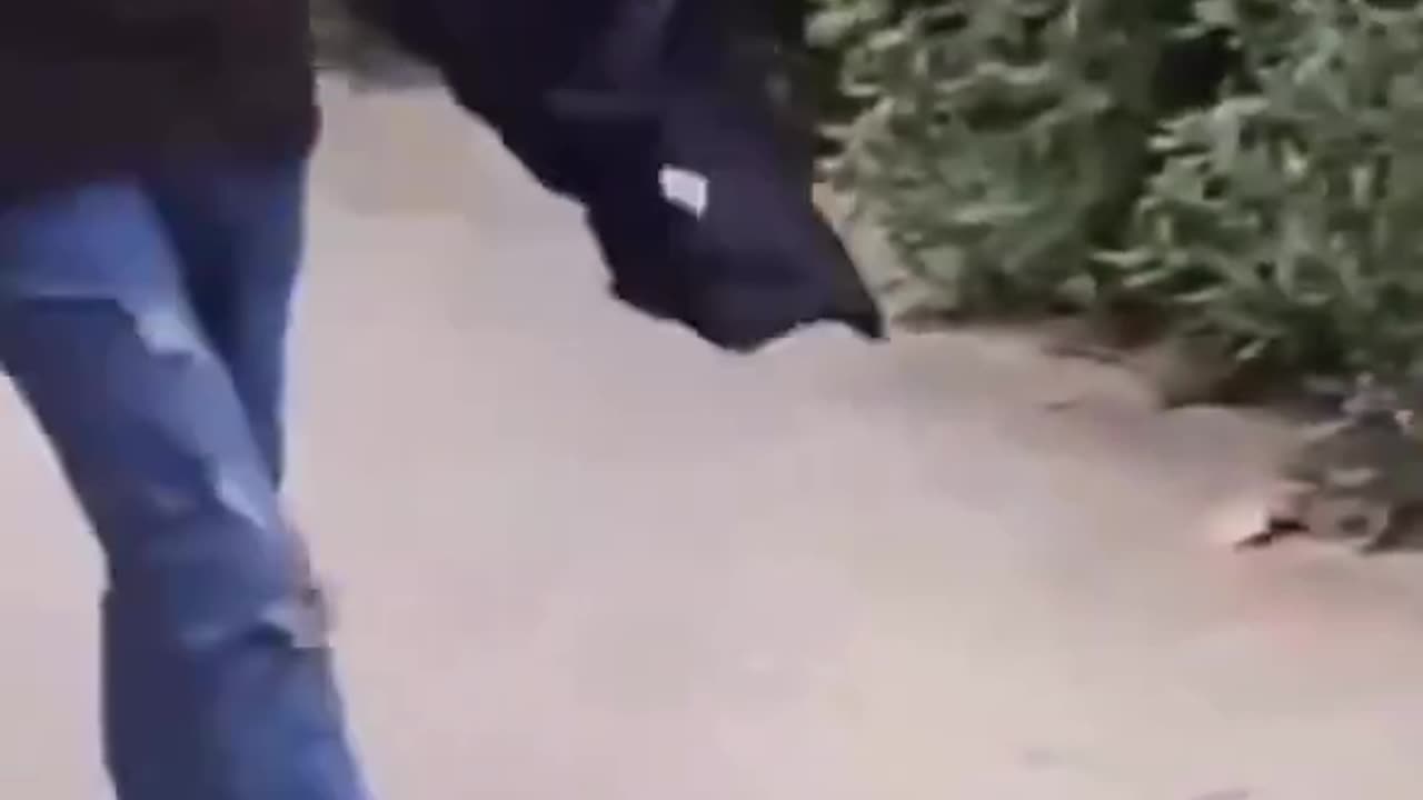 PARENTS: What would you do if an illegal immigrant smacked your kid?