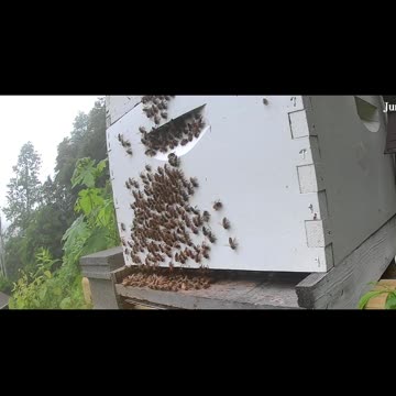 Tuesday Morning Sunrise