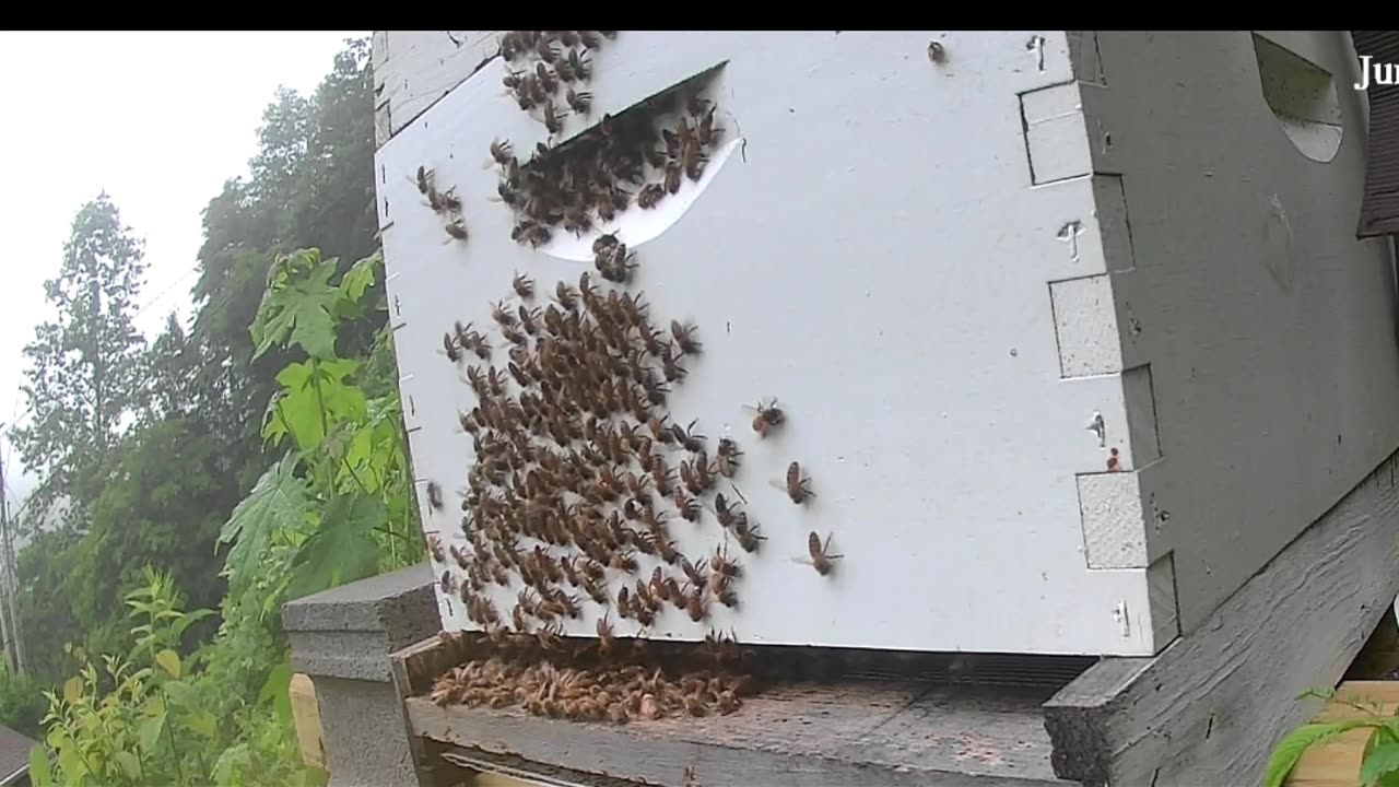 Tuesday Morning Sunrise