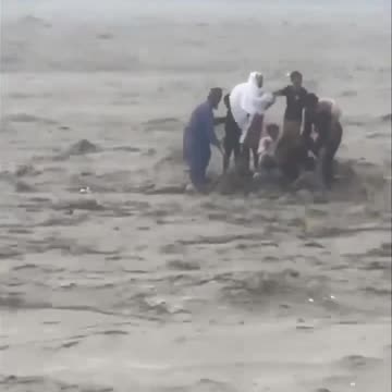 Can't they save lives? Viral video