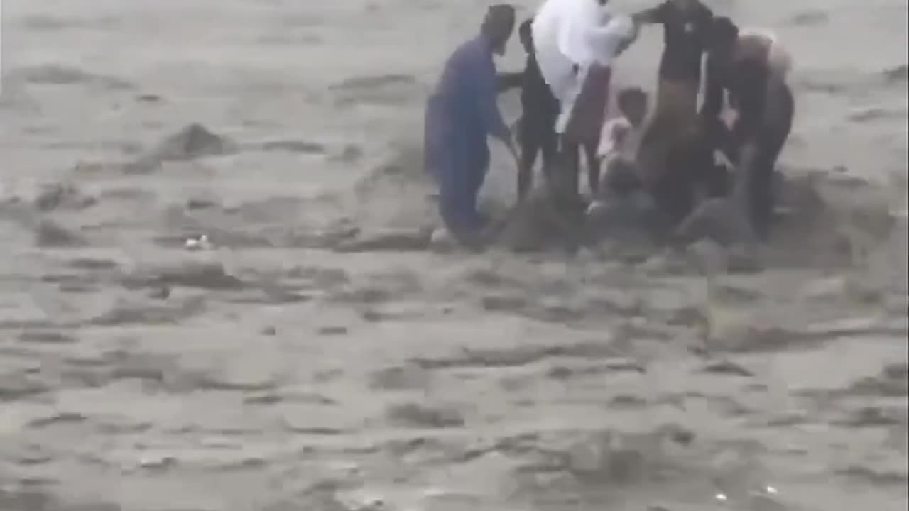 Can't they save lives? Viral video