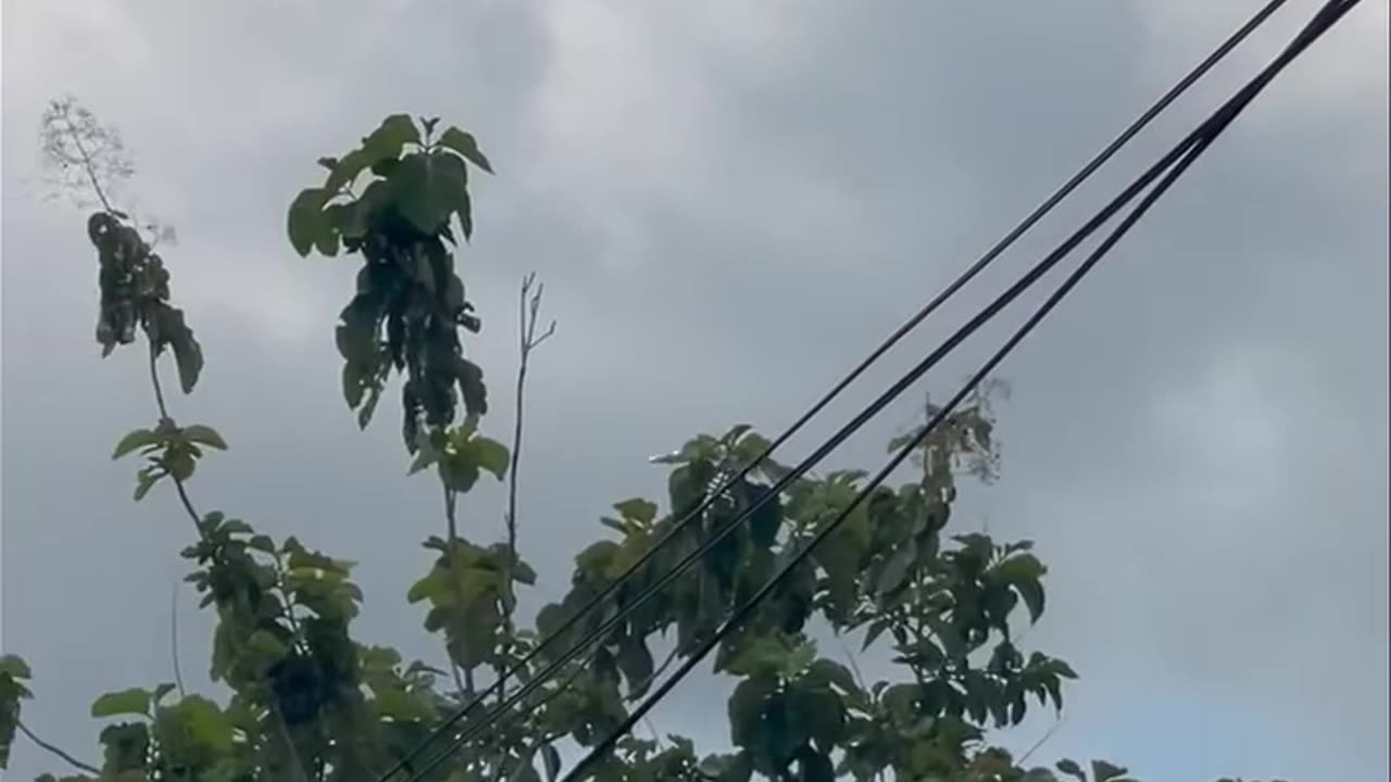 July25, 2025 Thailand Uses A Total Of 6 US Made F16 Jets To Drop Heavy Bombs On Cambodian Territory.