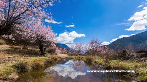 How to Find a Tibetan Tour Guide