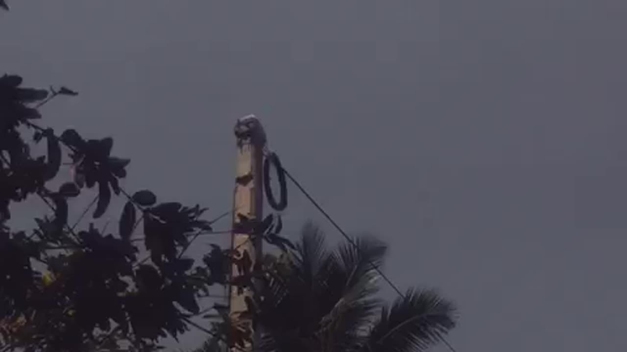 background video