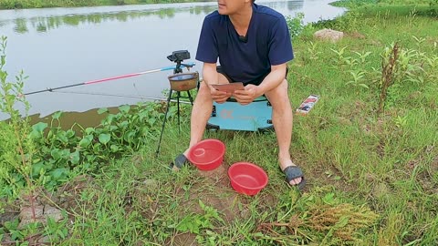 Dace Spin Fishing in River Shallow Pools