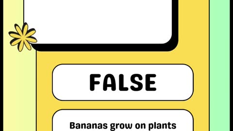 Can You Pass This True or False Quiz? | 6 Fun & Challenging Questions!