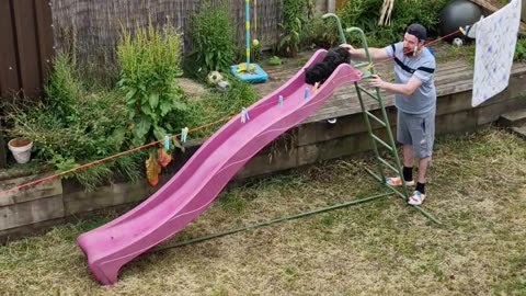 Dog Loves Playset Slide