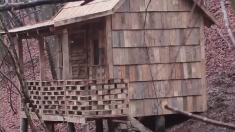 Built A House From Pallets