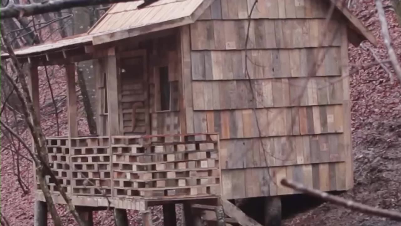 Built A House From Pallets