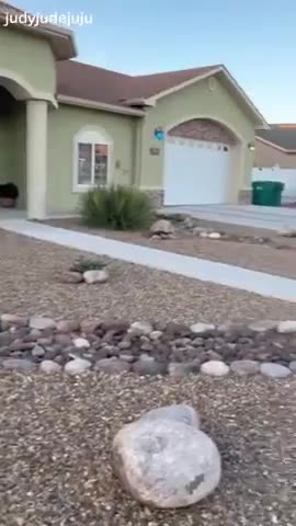 Your TAX DOLLARS at work.... wake the fk up people boycott taxes!