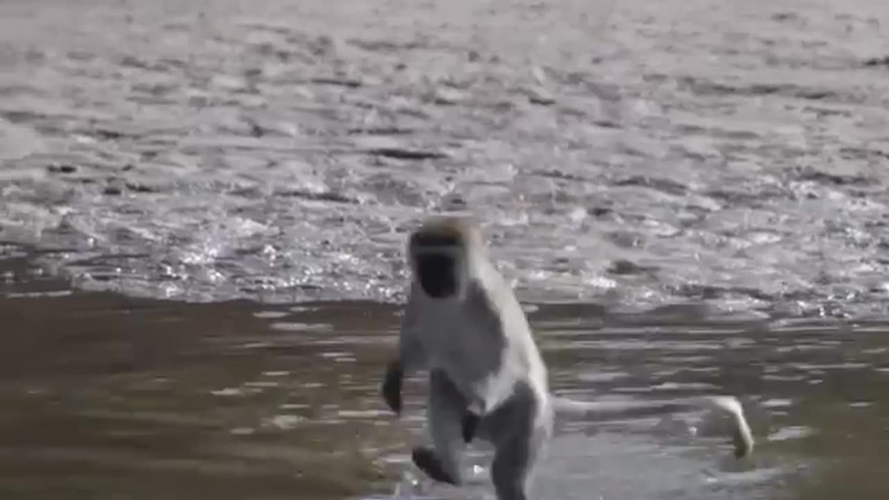 Sometimes joy doesn’t need a plan