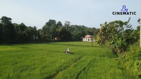 Village Life after Dark